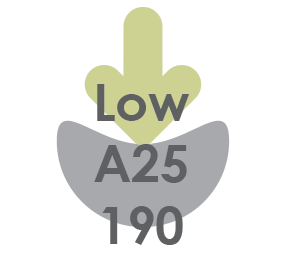 <b>Aortha</b> EVA Low Density - 190 (A25)