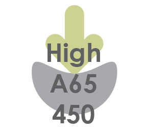 <b>Aortha</b> High Density EVA - 450 (A65)