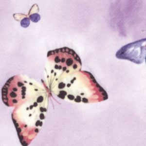 PURPLE BUTTERFLY COLOURING PAPER